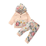 Blotona 2PCS Baby Boy Girl Flowers 3D Ear Hoodies Top Sweatshirt Ruffle Pants Clothes Outfit Set 0-24M